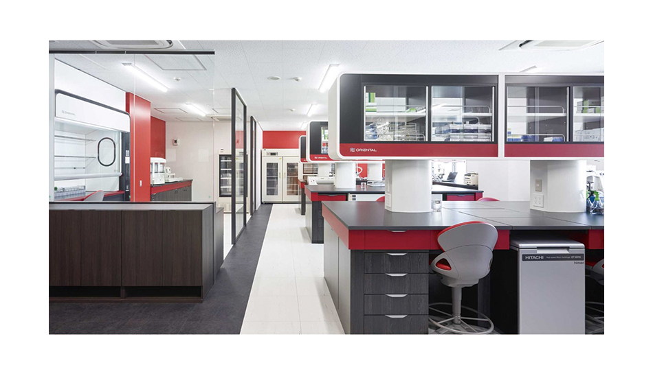 ドラフト・実験台